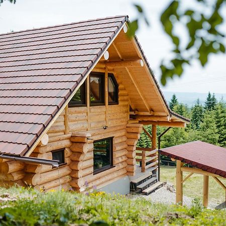 Log Cabin Piricske Ciceu Eksteriør bilde